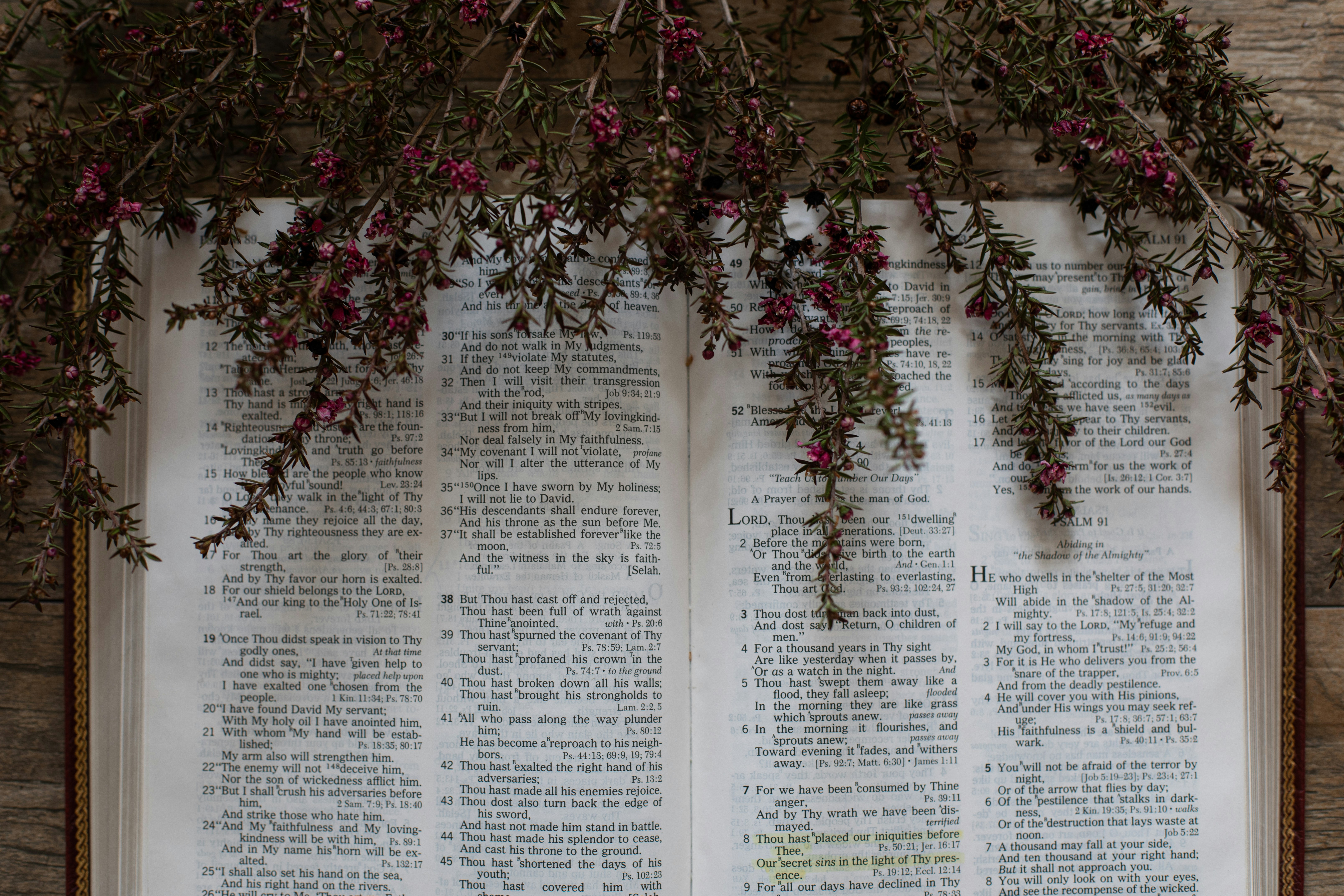 Women gathered in fellowship